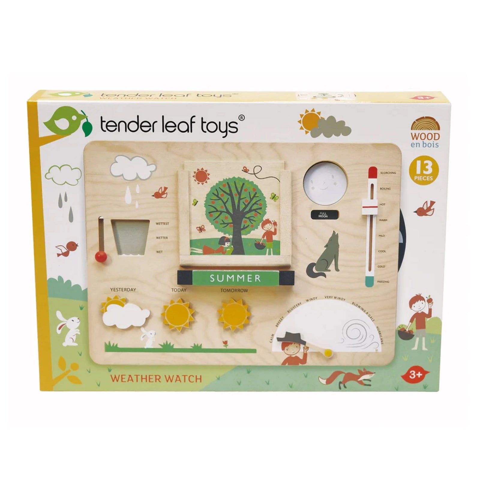 Tender leaf toys weather watch